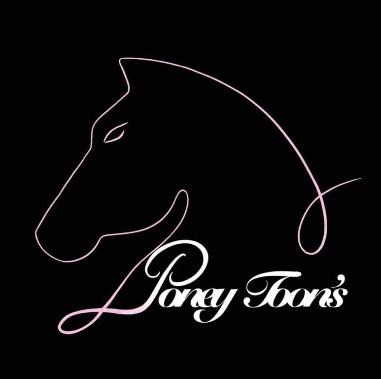www.poneytoons.com